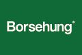 logo of the Borsehung brand